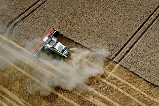 The ‘atrocious’ harvest weather could spoil barley and wheat crops this summer, the NFU has warned (Gareth Fuller/PA)