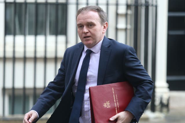 Former environment secretary George Eustice (James Manning/ PA)