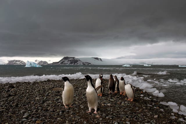 Antarctic Extreme Weather