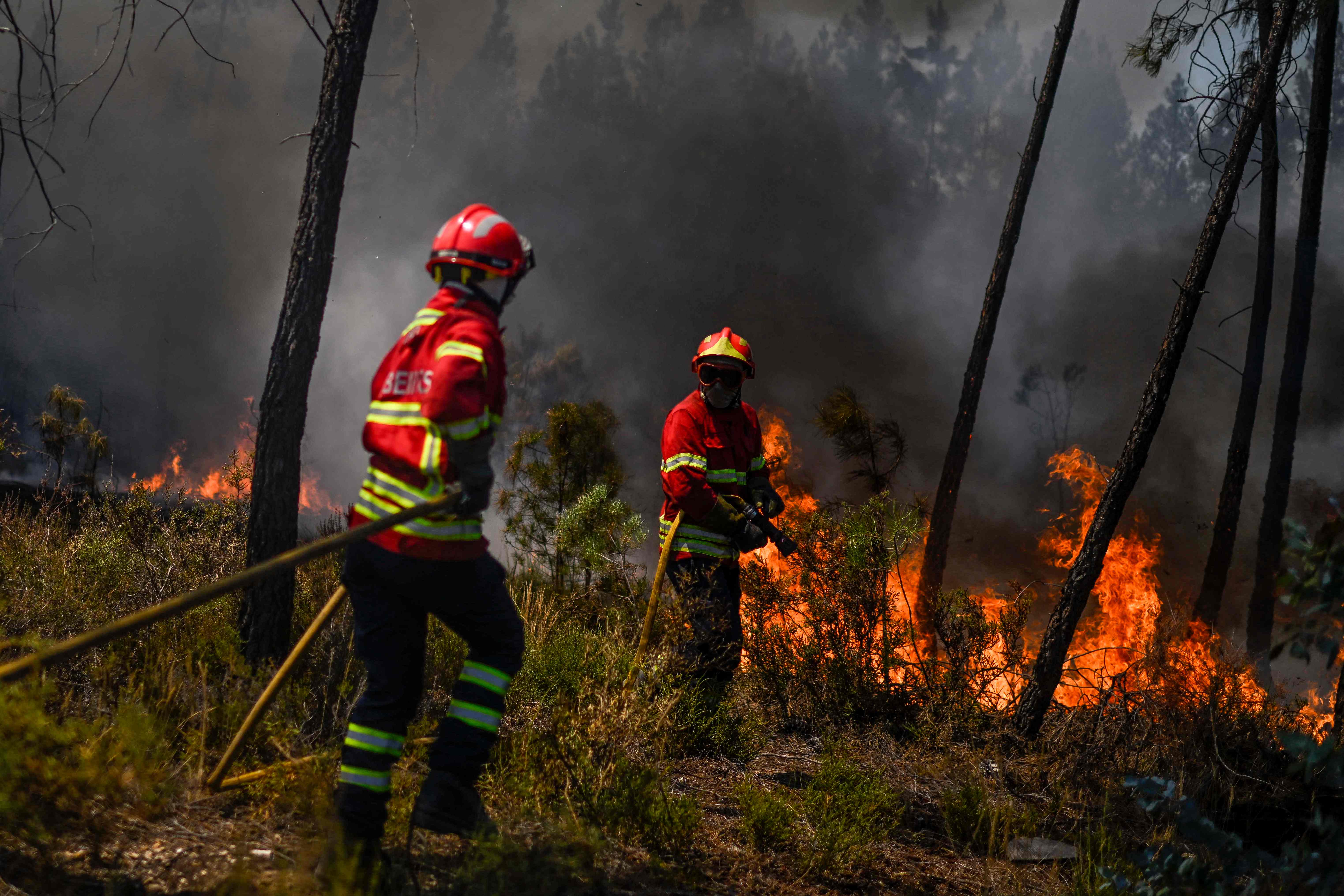 More than 1,000 firefighters battled a wildfire in central Portugal on Sunday