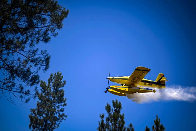 <p>A firefighter airplane drops water in a wildfire in Carrascal, Proenca a Nova, 6 August 2023 </p>