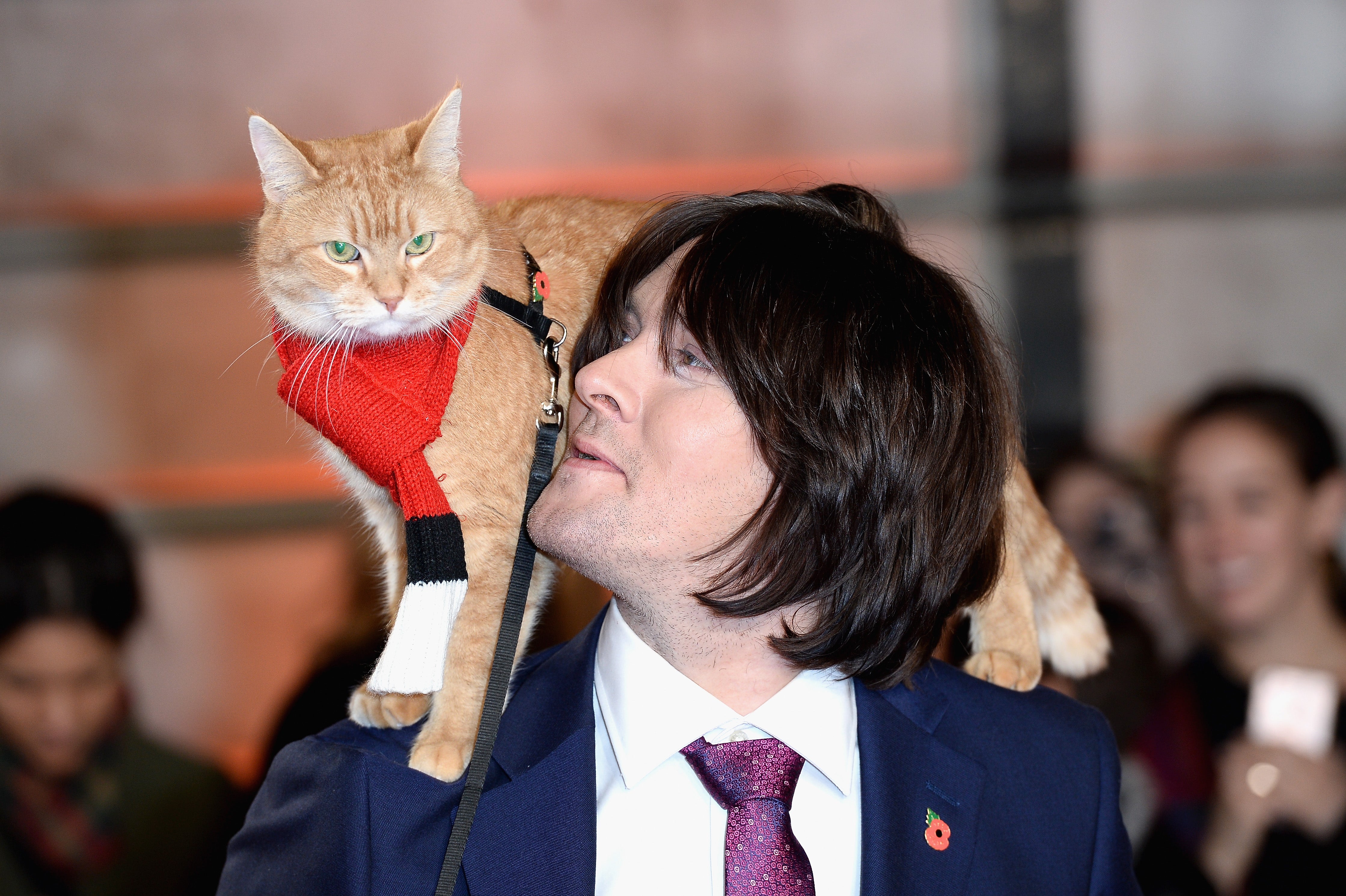 James Bowen and Bob the cat attend the UK Premiere of "A Street Cat Named Bob" in aid of Action On Addiction on November 3, 2016