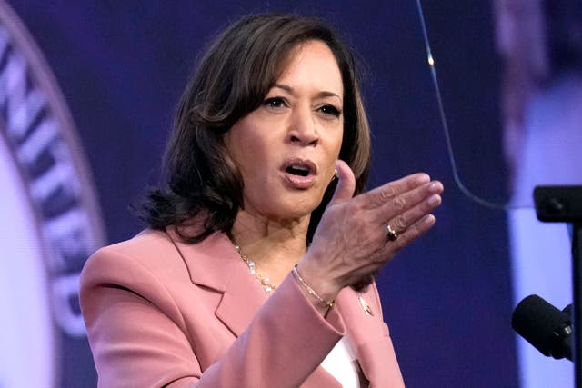 <p>Vice President Kamala Harris delivering an address in 2023 </p>