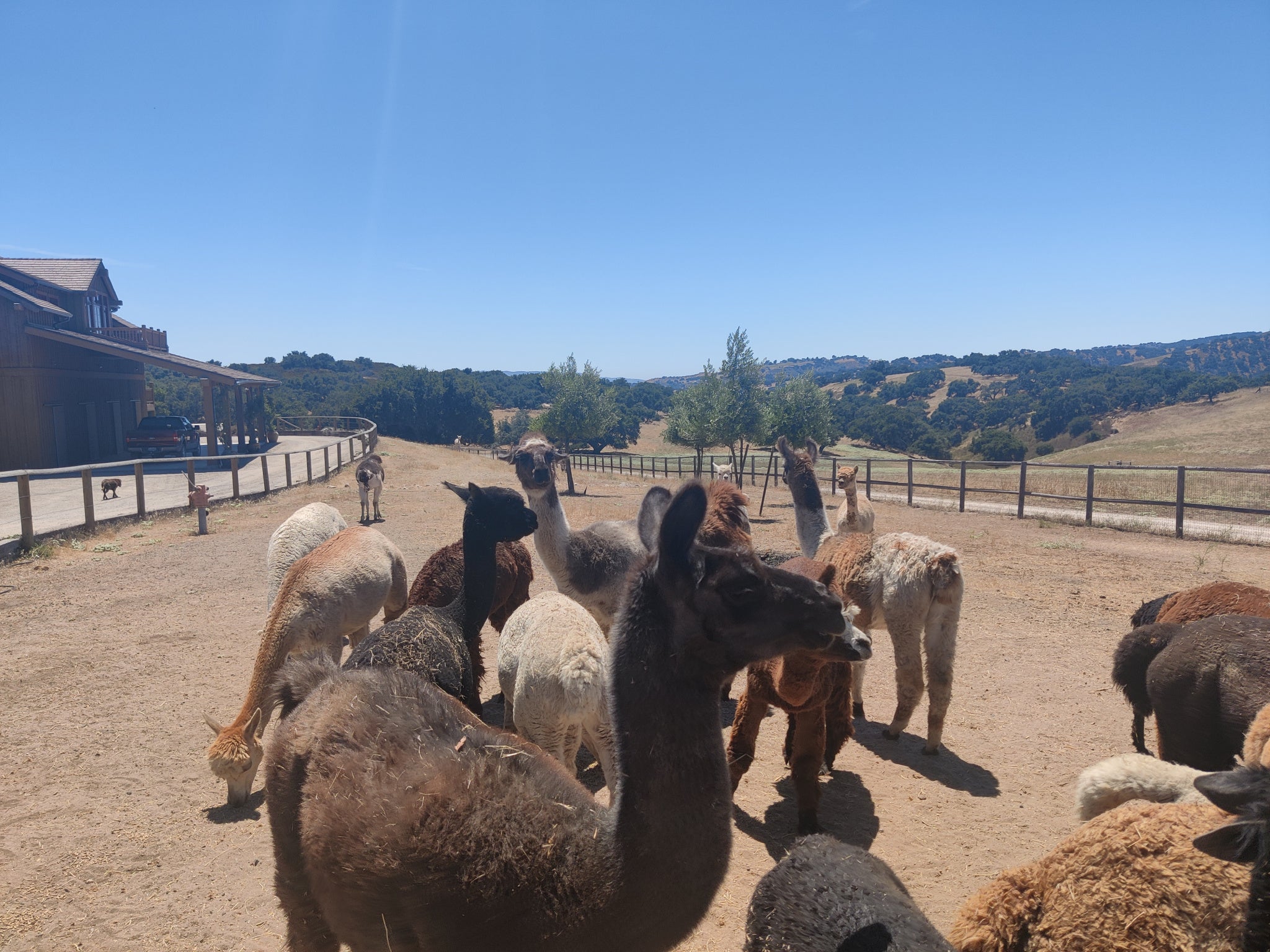 Santa Ynez, California city guide: What to do in the wine country | The ...