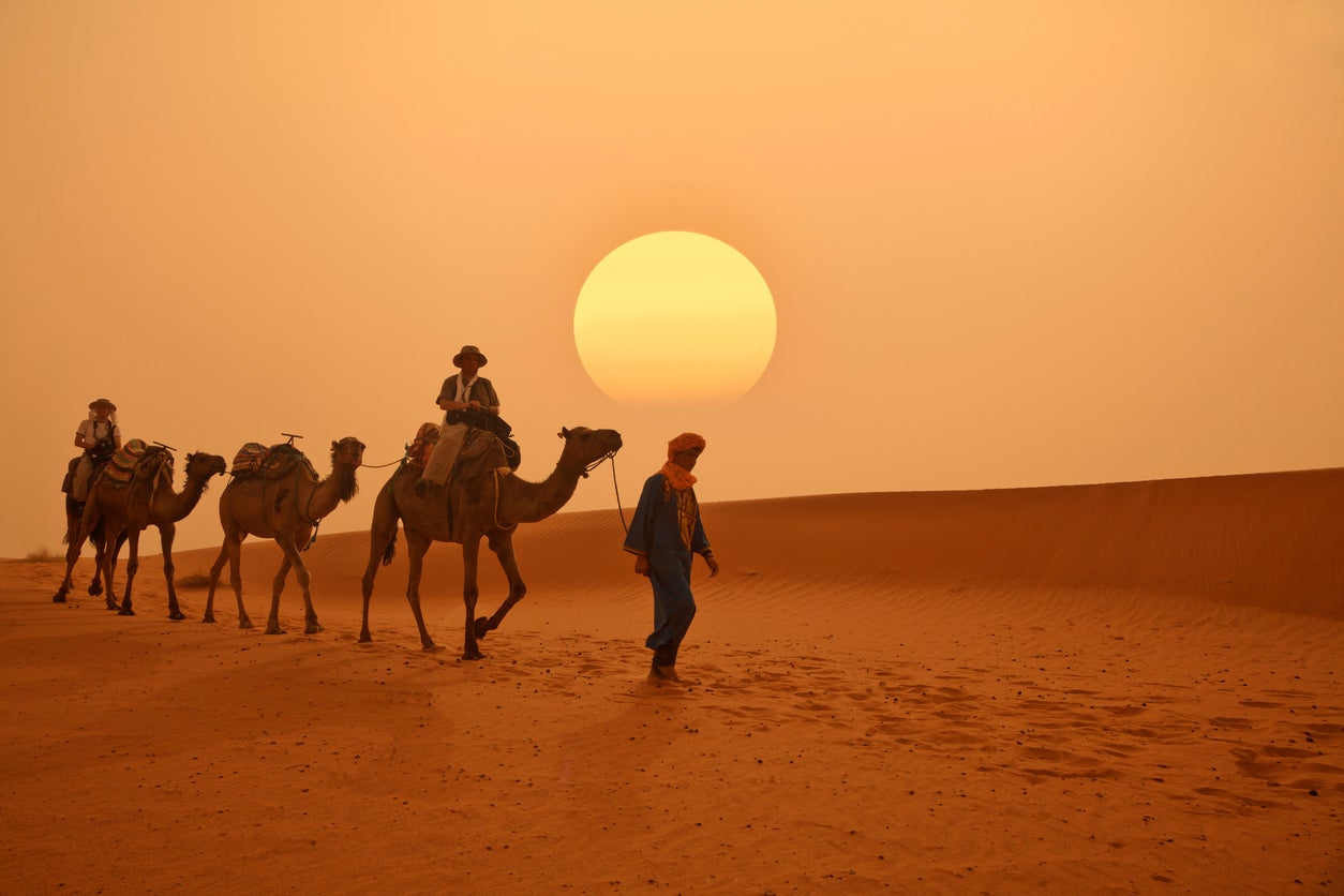 Camel rides are a popular activity in the Sahara