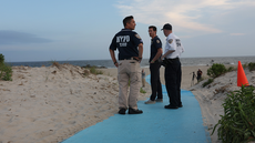New York beach closed to swimmers after shark bites woman