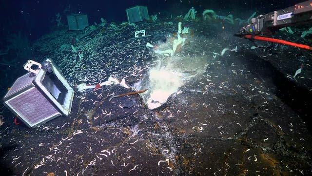 <p>Existe un ecosistema único en cuevas volcánicas bajo fuentes hidrotermales oceánicas. </p>