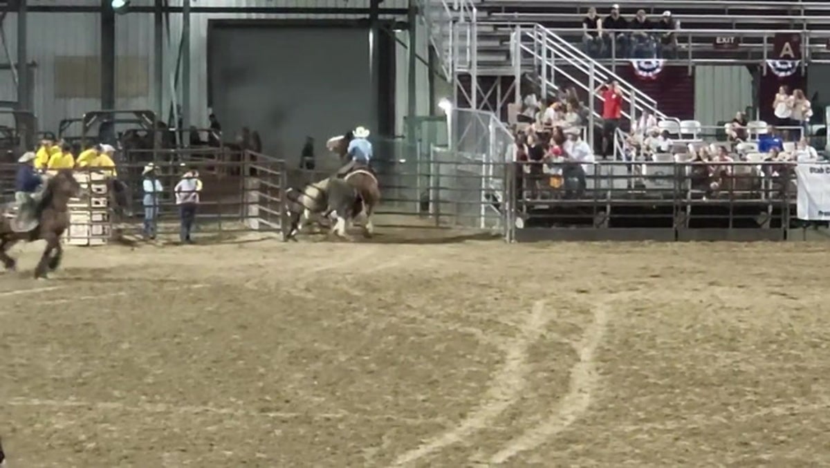 Moment bull escapes Utah County Fair and charges at crowd before injuring family
