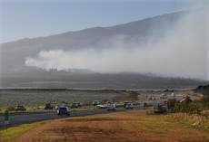 People are jumping into the ocean to escape Hawaii wildfires on Maui