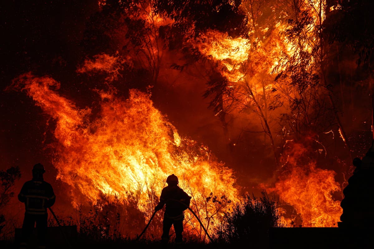 الحرائق في البرتغال: السياح يفرون من Odimira مع انتشار حرائق الغابات في حرارة 46 درجة مئوية.