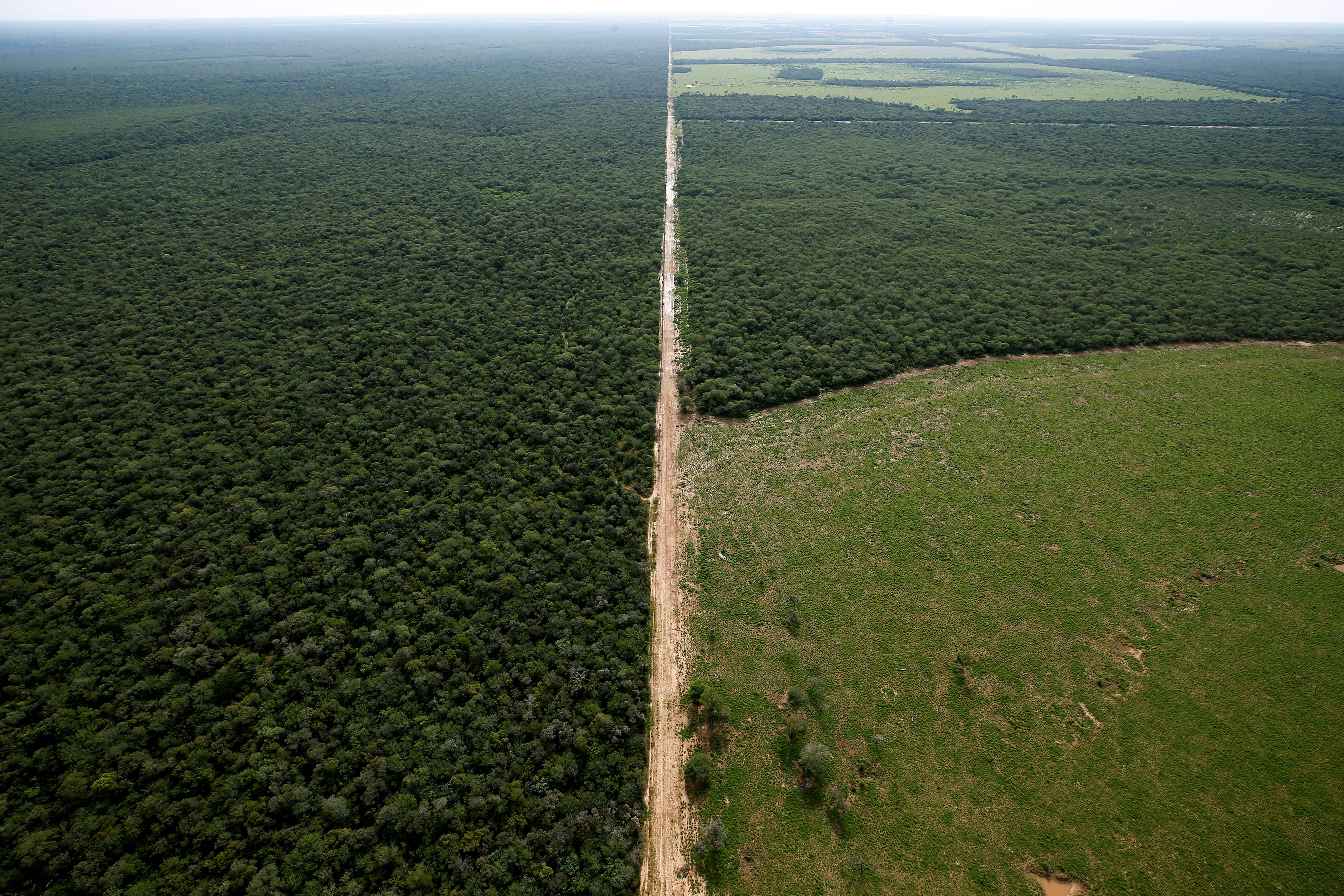 An aerial view shows forested and deforested areas near Las Lomitas in Formosa, Argentina
