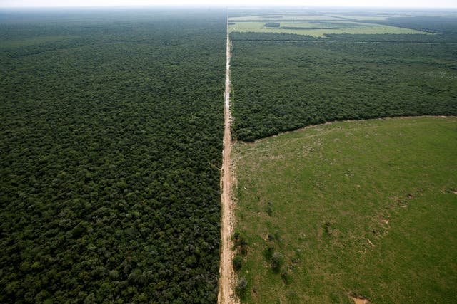 <p>An aerial view shows forested and deforested areas near Las Lomitas in Formosa, Argentina</p>