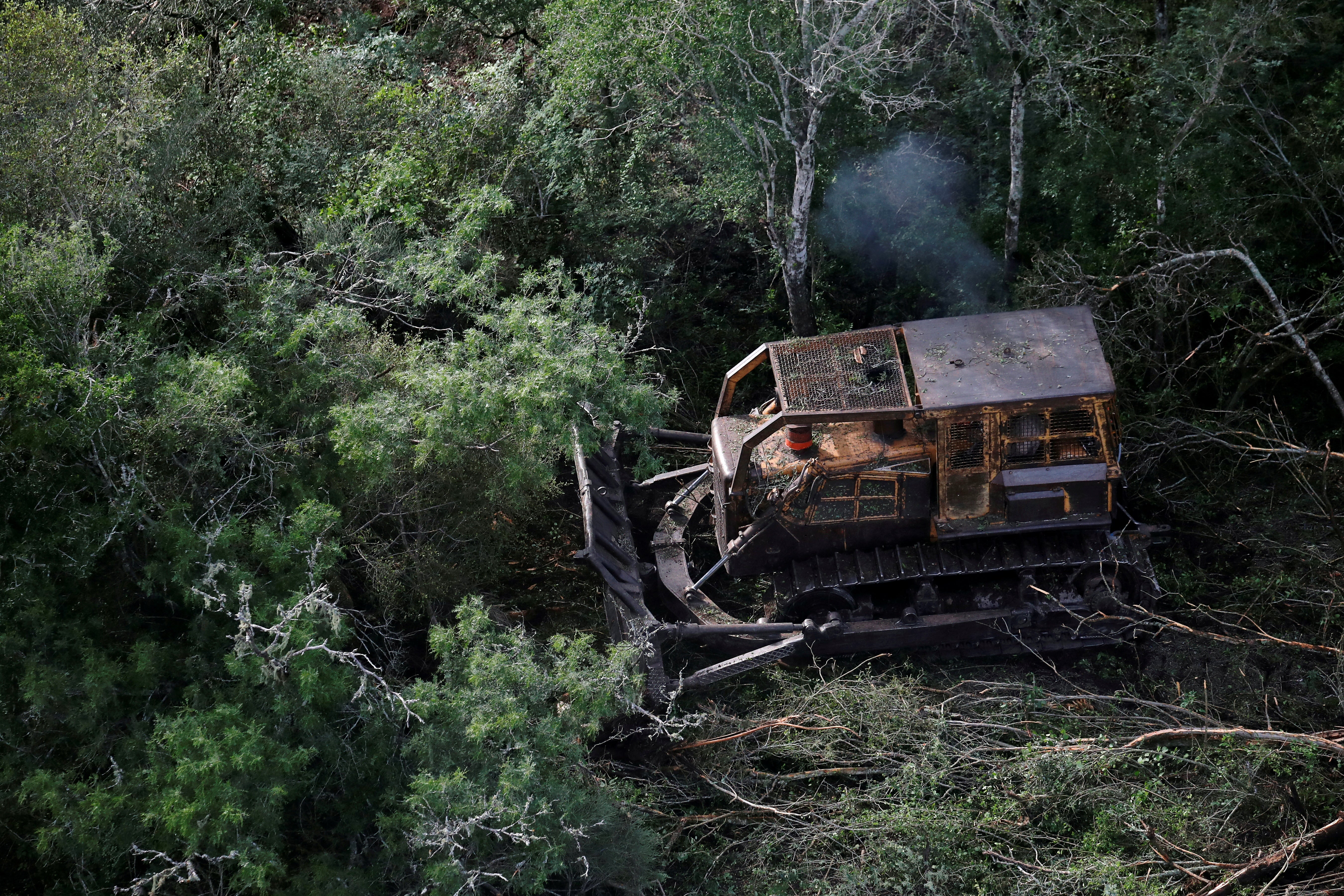 <p>A bulldozer removes trees from a forested area near Las Lomitas in Formosa, Argentina</p>