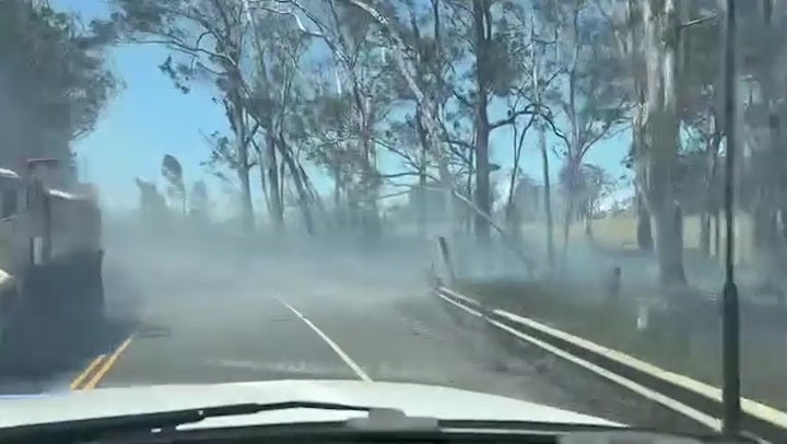 <p>Roadside devastated by Hurricane Dora and wildfire in Hawaii.</p>