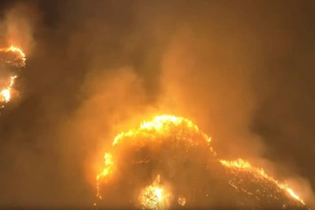 <p>An aerial view of a wildfire in Kihei, Maui County, Hawaii, U.S., August 8, 2023 in this screen grab obtained from a social media video</p>
