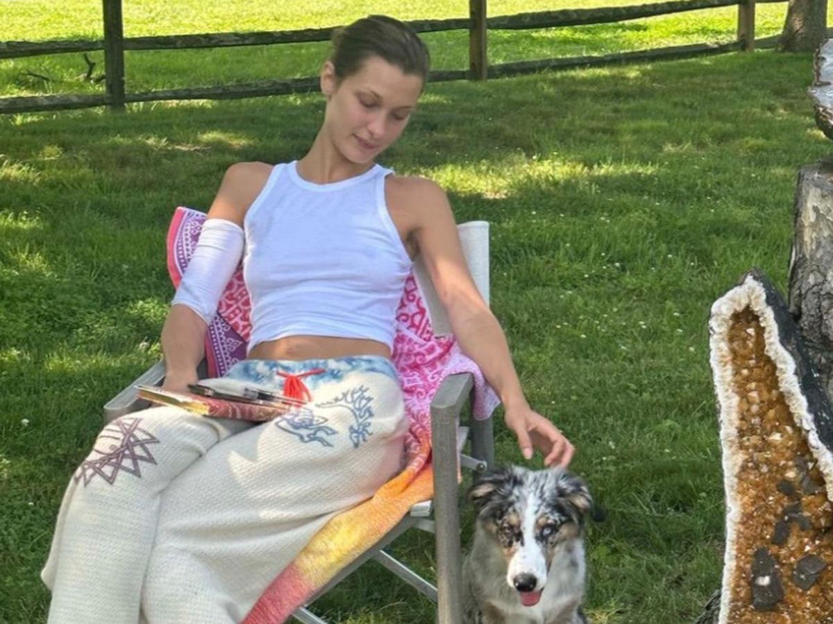 Bella Hadid raises eyebrows after posting a GoFundMe page 