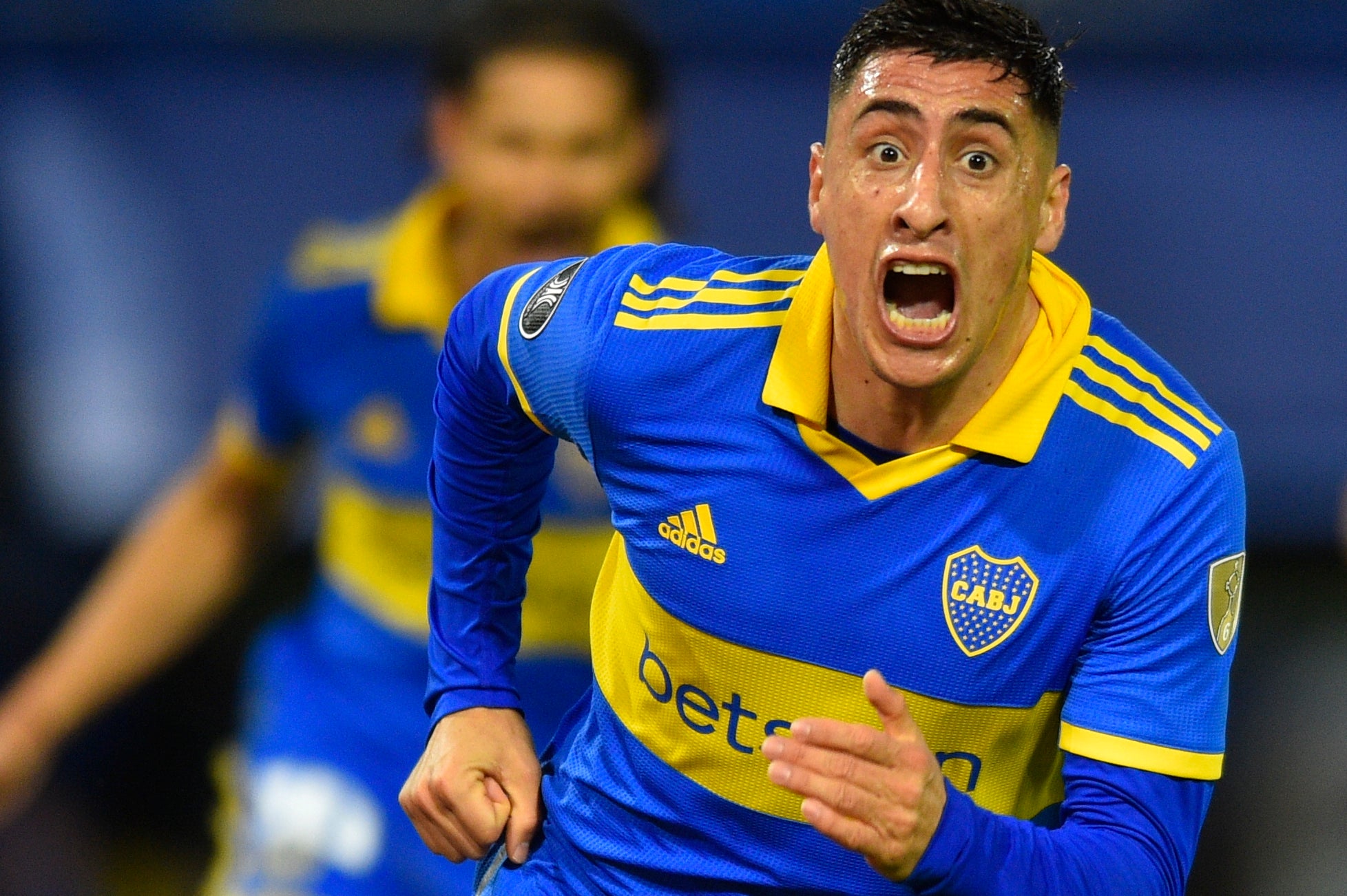 LIBERTADORES-RESUMEN