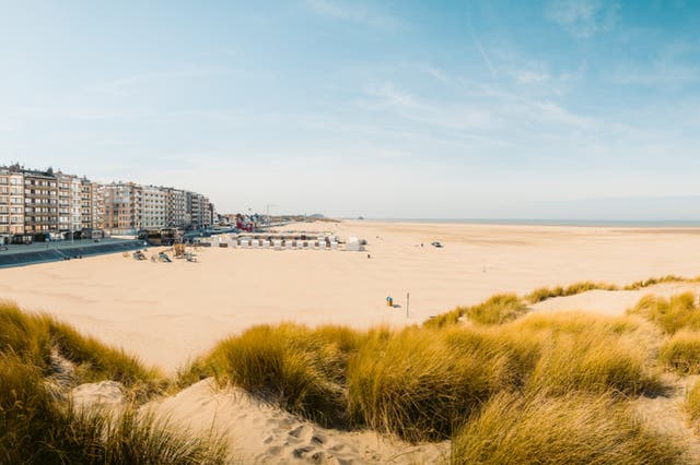 <p>Ever consider Belgium for a beach getaway? </p>