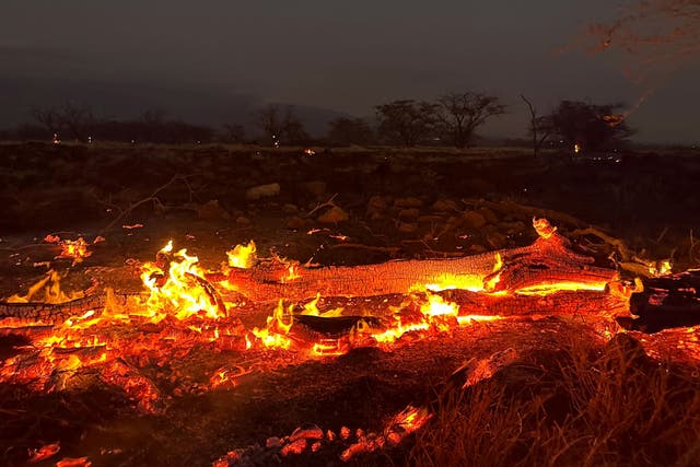 <p>Wildfires burn in Kihei, Hawaii on Thursday 10 August</p>