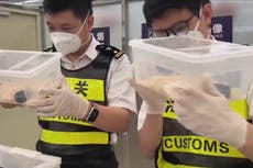 Passenger caught smuggling 14 live snakes in his pockets in China