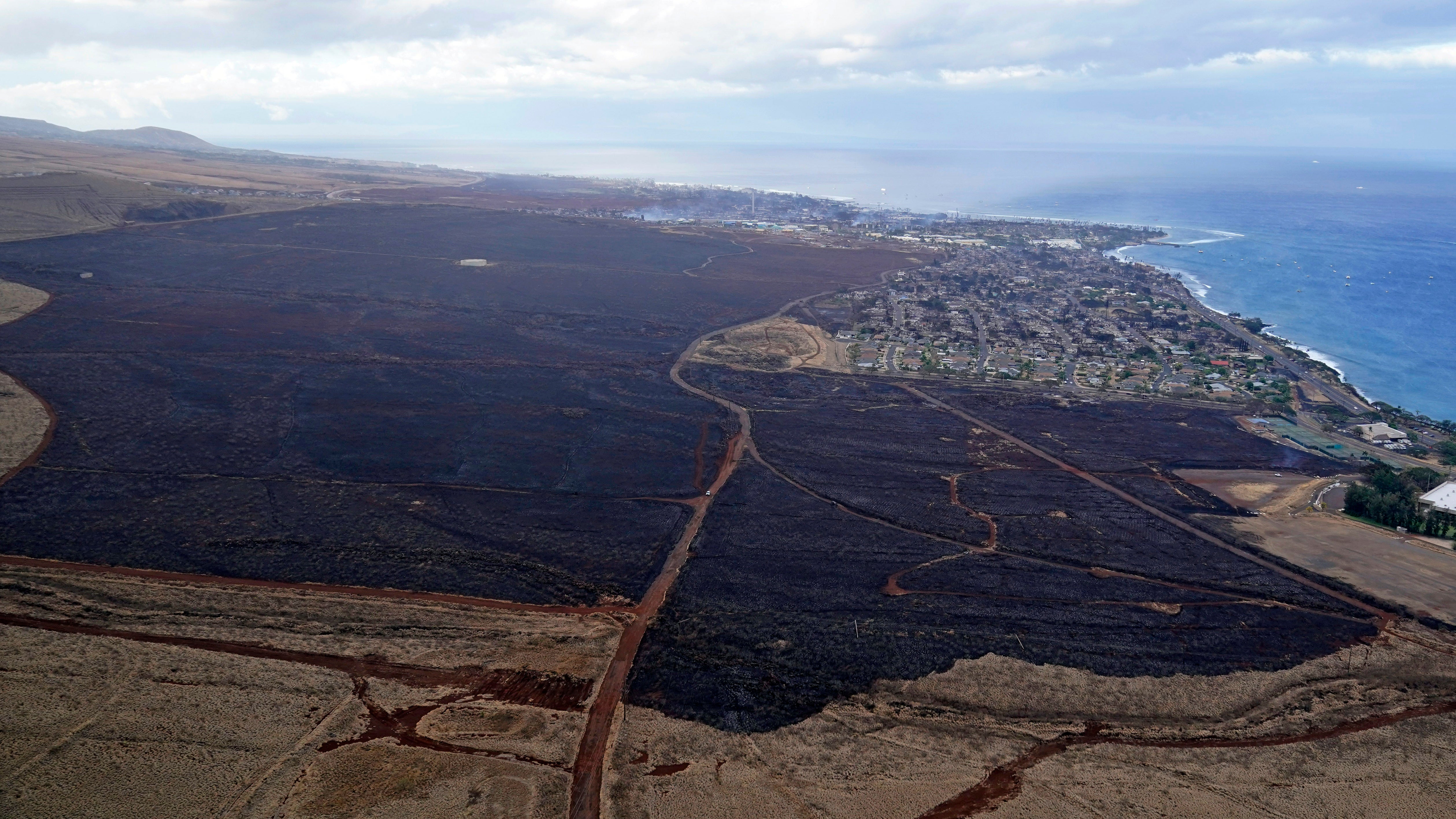 Hawaii Wildfires Impacts