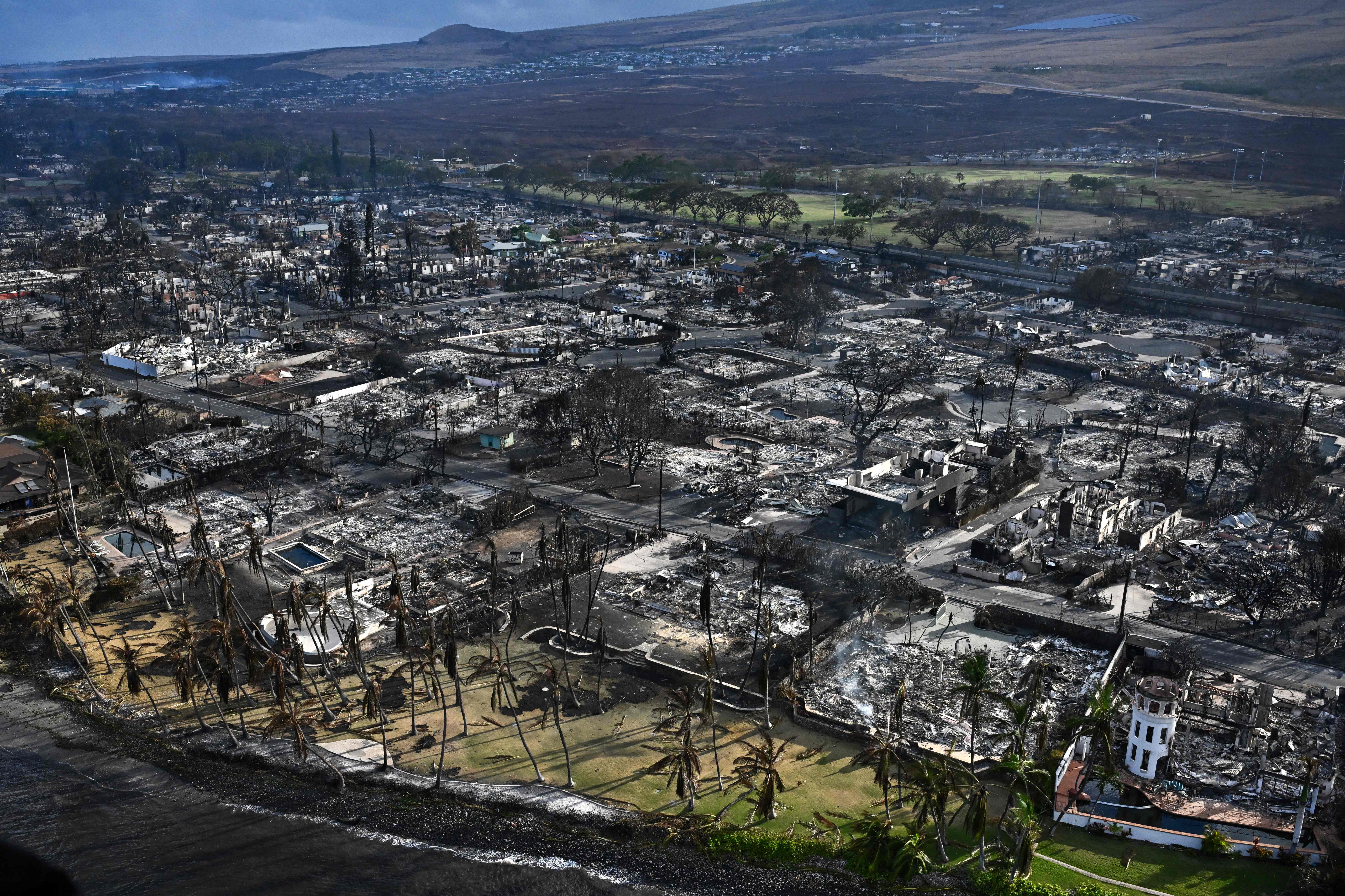 Hawaii fires live updates: Death toll rises as race continues to find survivors in Maui - Vimarsana News