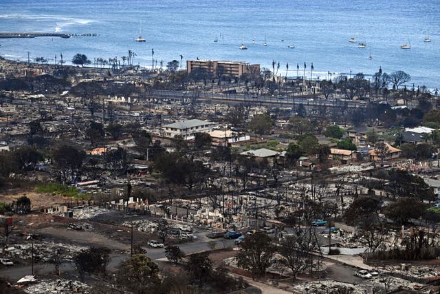<p>An aerial image shows destroyed homes and buildings burned to the ground in Lahaina</p>