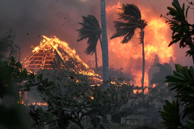 <p>Fire rages in Lahaina on the Hawaiian island of Maui</p>