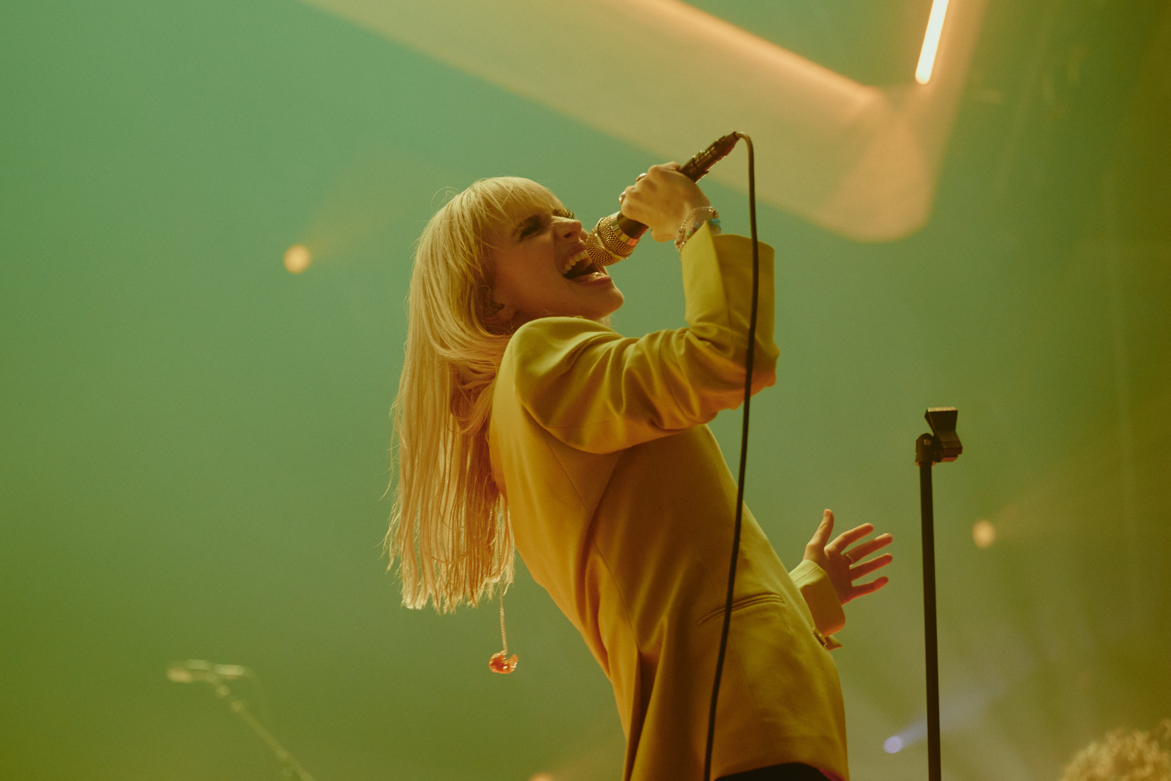 <p>Hayley Williams sings in Austin, Texas</p>