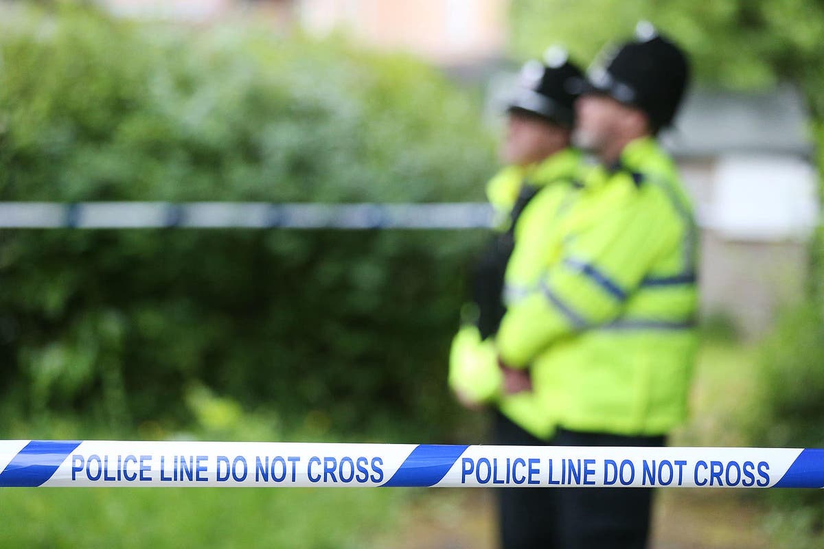 Man dies after being hit by train following police chase