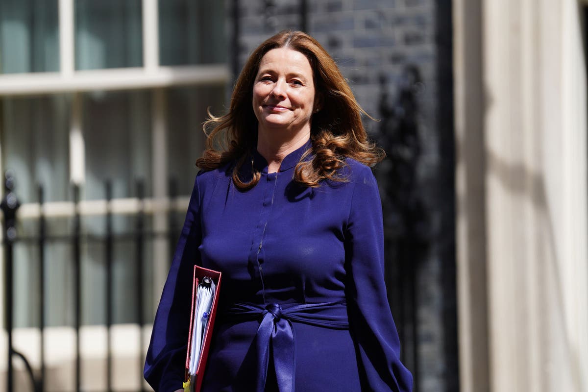 Lower A-level grades will allow universities to &lsquo;distinguish between candidates&rsquo;