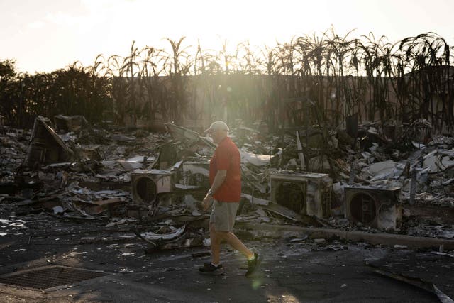 <p>A resident looks around a charred apartment complex in the aftermath of a wildfire in Lahaina, western Maui, Hawaii </p>