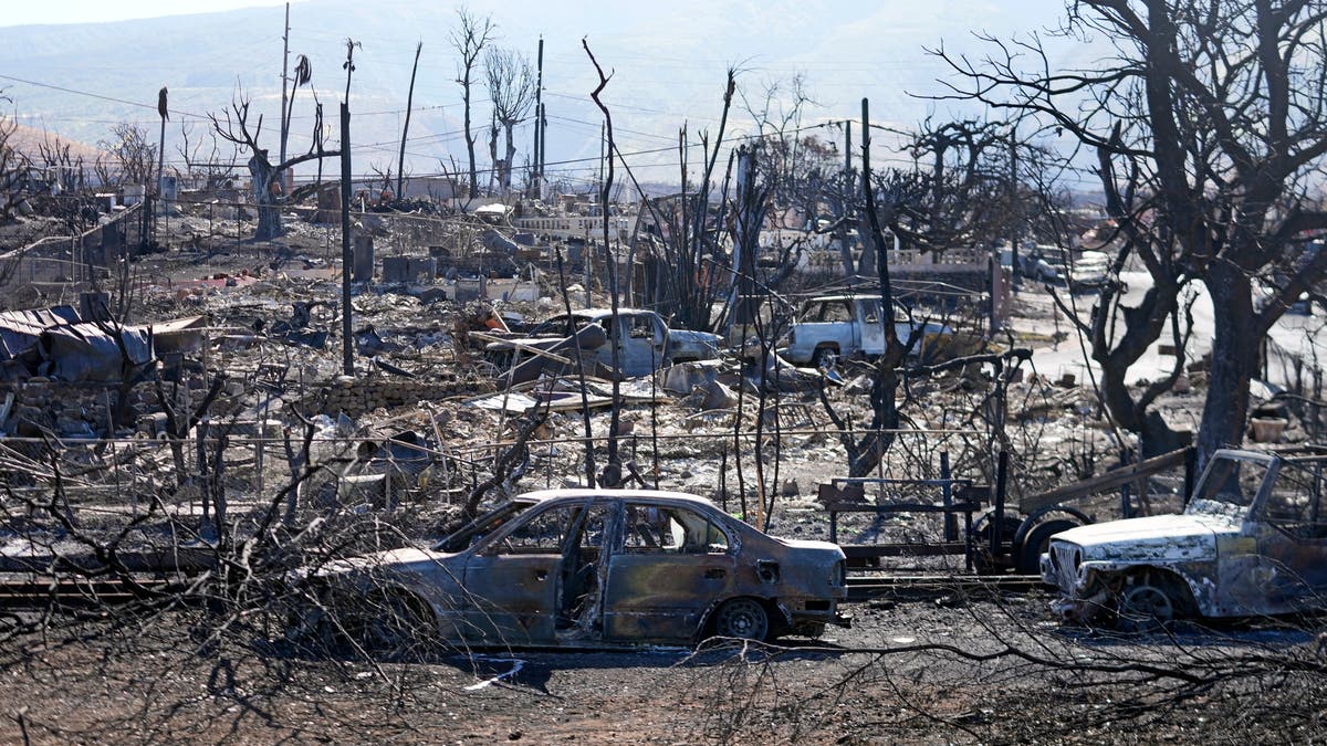 Hawaii fires: Residents claim people being ‘robbed at gunpoint’ in Maui amid ‘lack of leadership’