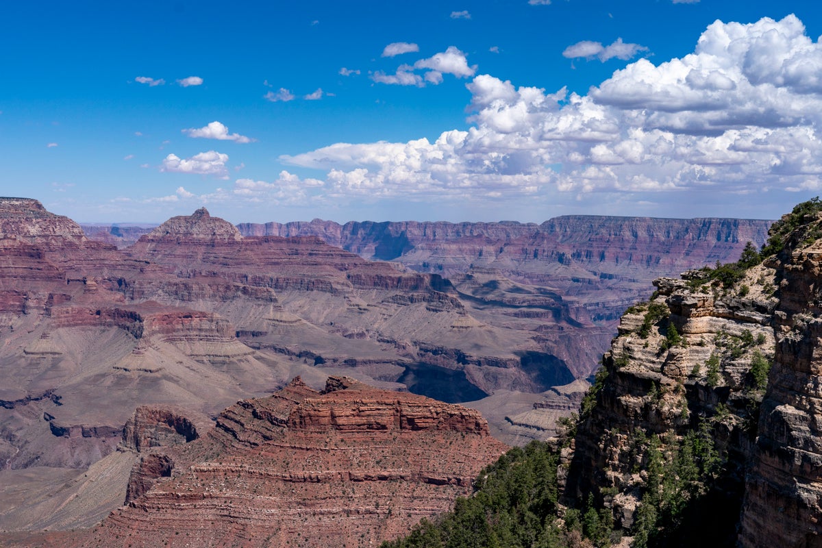 Teenager survives 100-feet fall during family trip to Grand Canyon