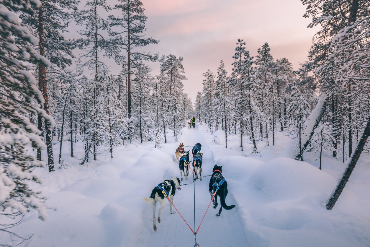 Adventurous couples will feel at home in Finnish Lapland’s frosty great outdoors