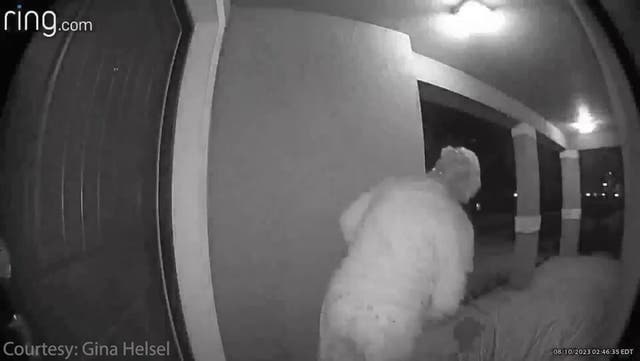 <p>Moment woman comes face to face with a bear on her doorstep.</p>