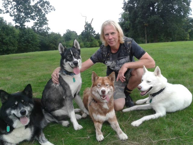 <p>Vince King and Karen Alcock’s Siberian husky, named Blizzard, killed baby Kyra King in woodland</p>