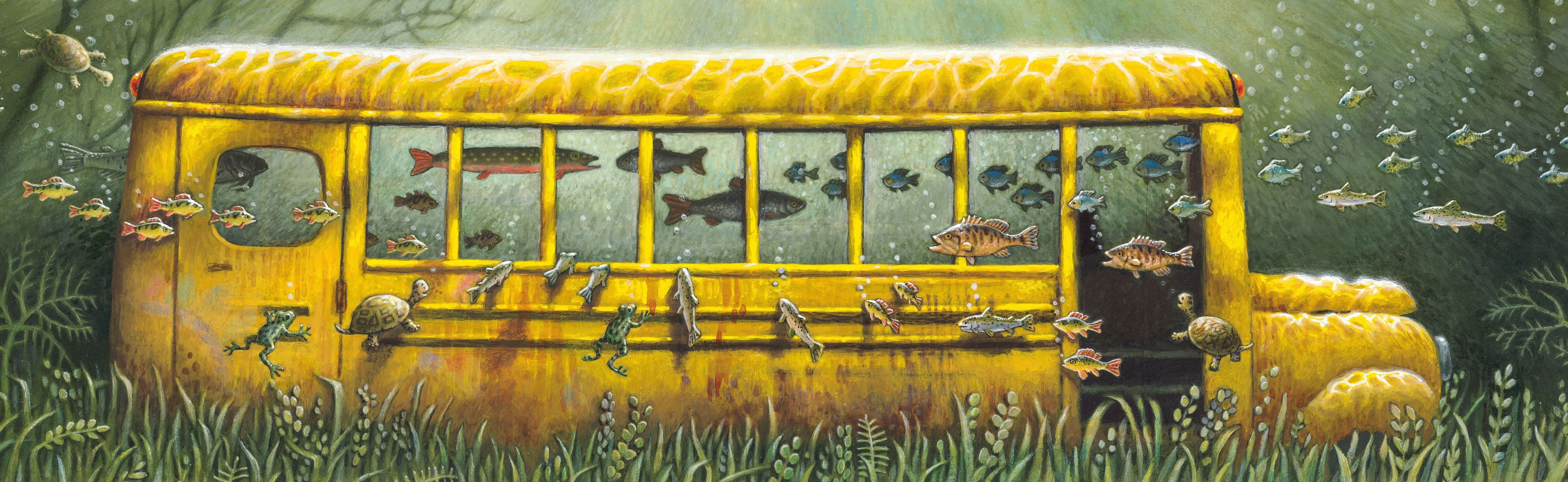 Books Obama Illustrator