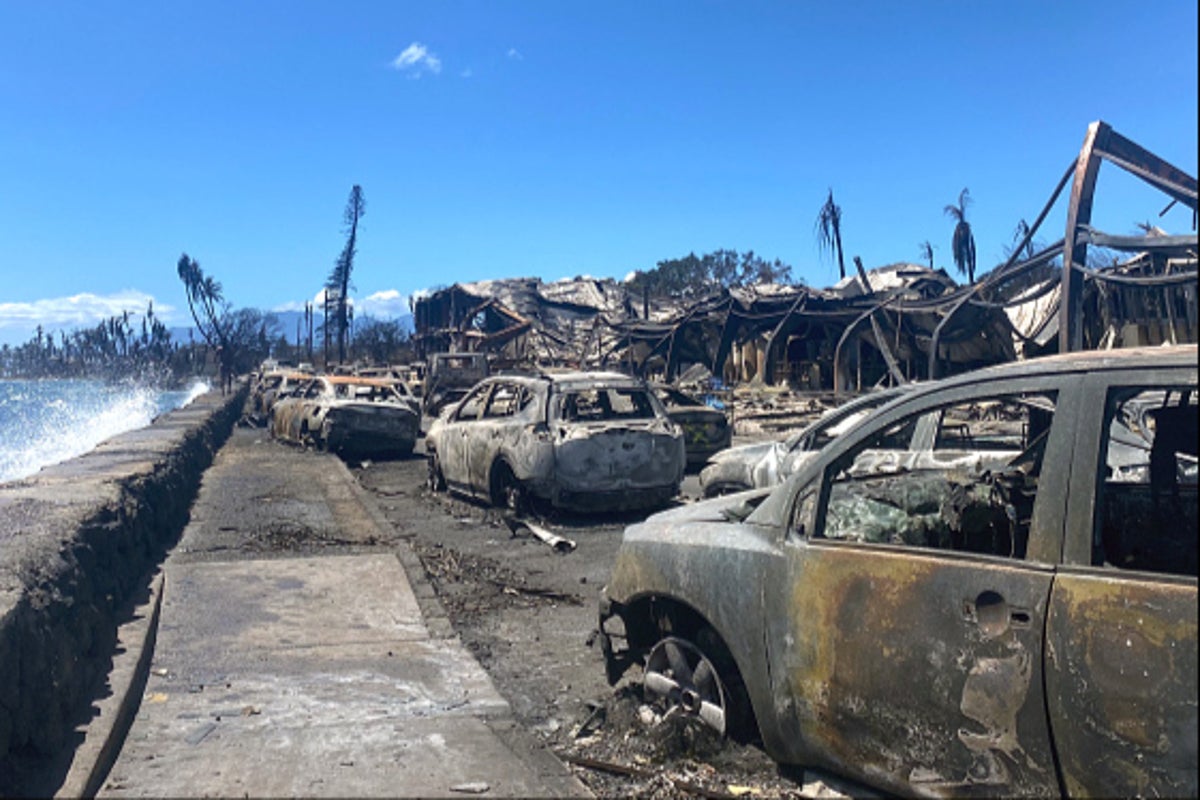 1,000 still missing in Maui as survivor reveals account of dead babies in ocean