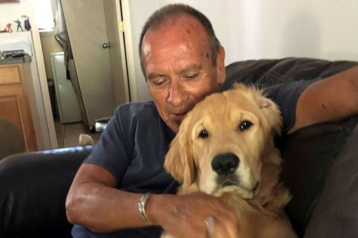 Maui wildfire victim died while trying to shield friend’s golden retriever