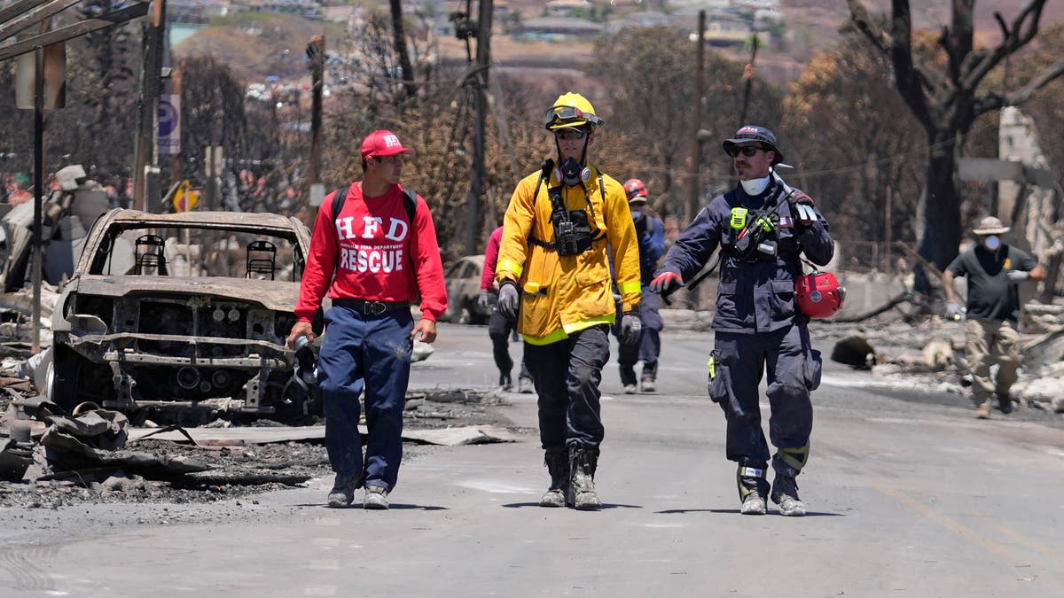 Maui wildfire survivors face new threat from chemical contamination - Vimarsana News