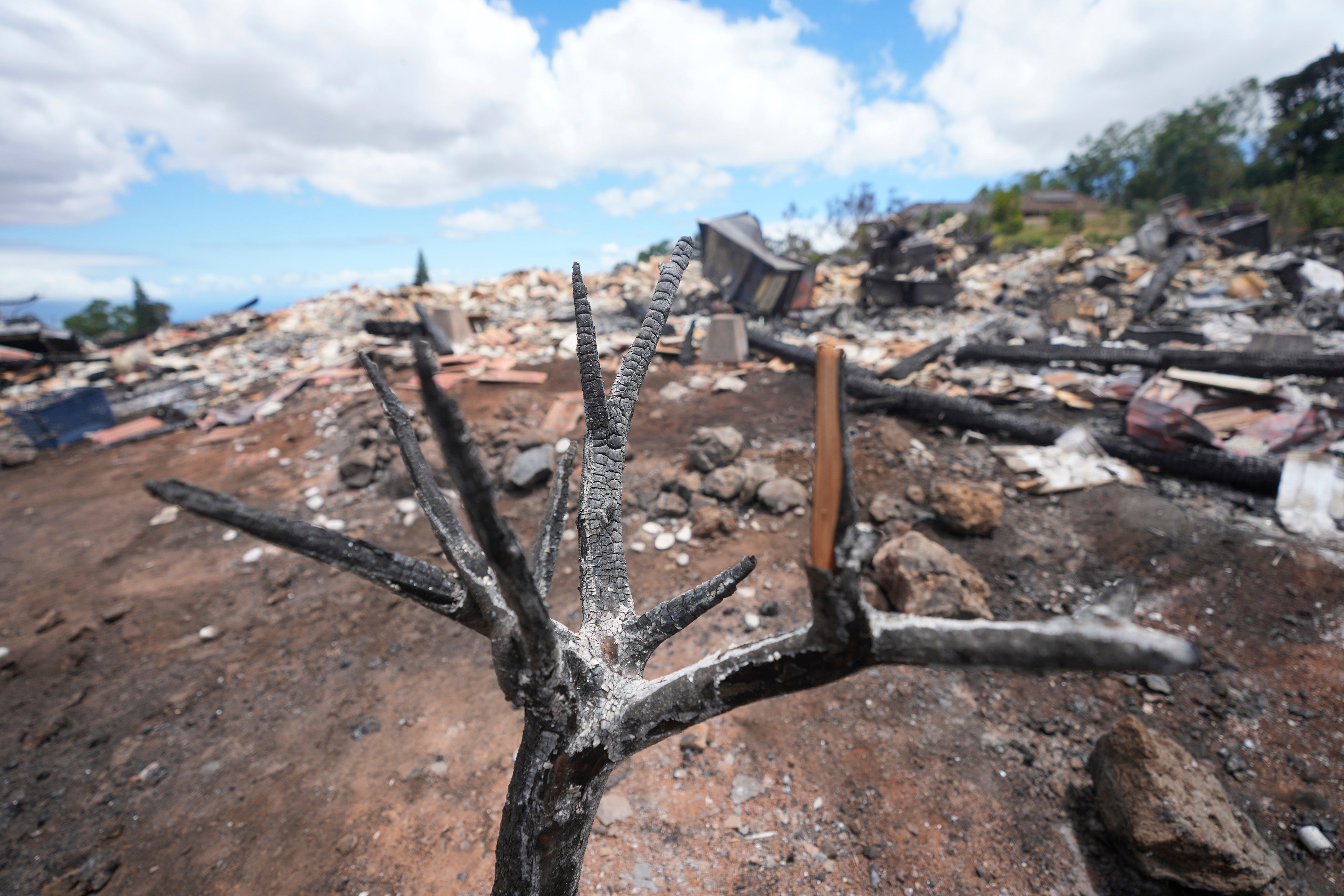 Hawaii_Fires_18284.jpg