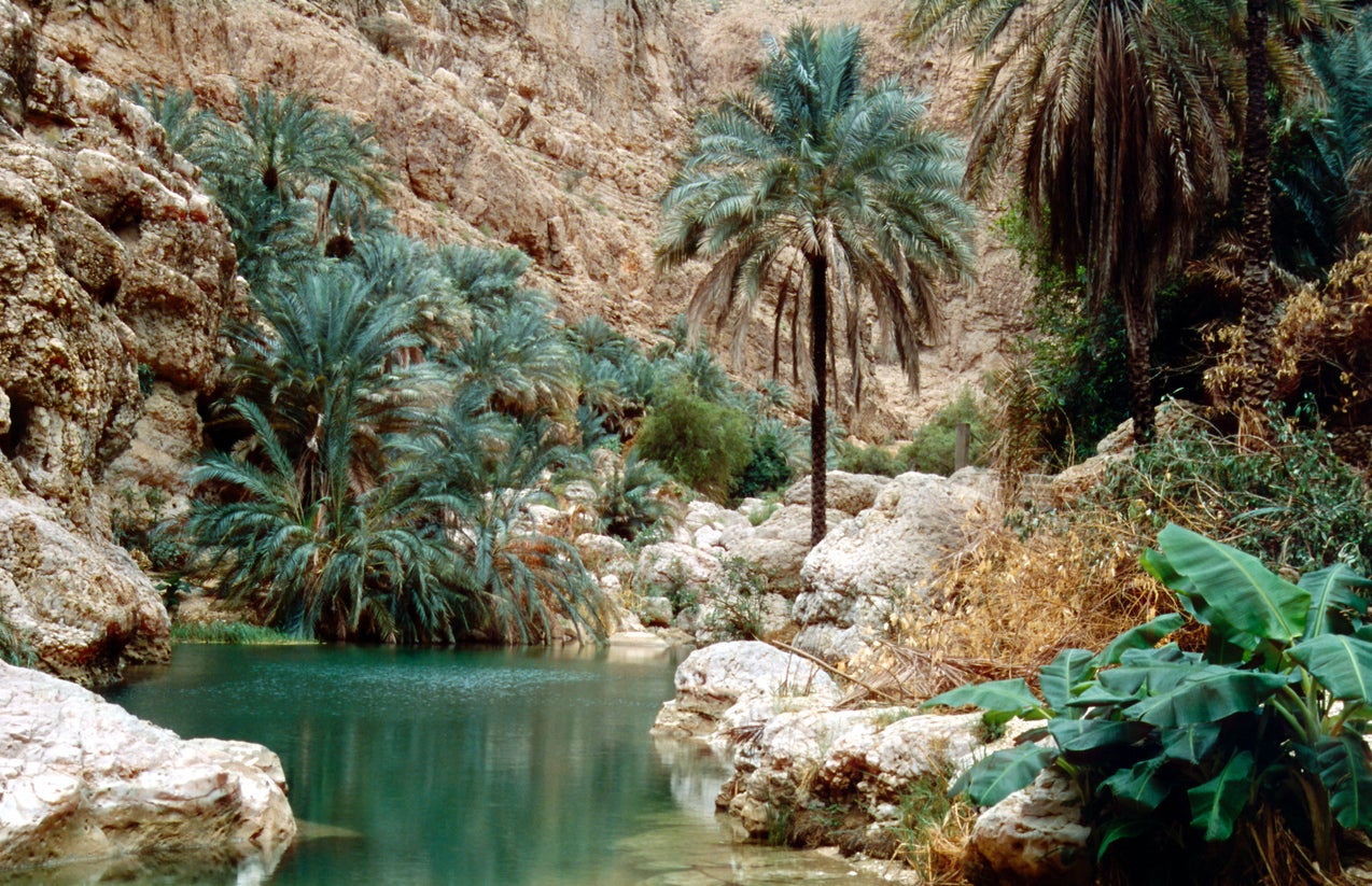 Wadi Shab is one of the most famous Wadis in the country
