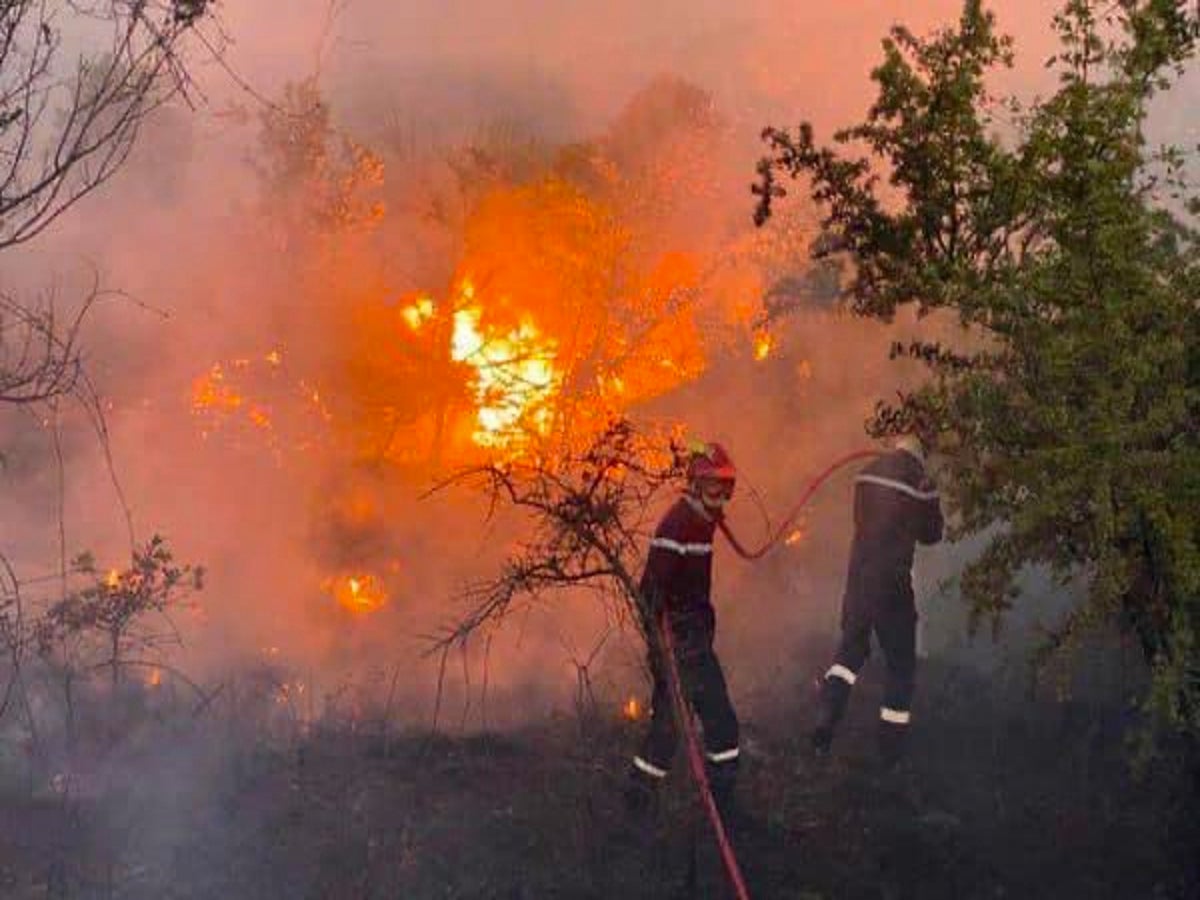 Wildfires in France: More than 3,000 tourists flee as fire rips through  France holiday spot | The Independent