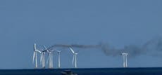 Wind farm workers evacuated after offshore turbine catches fire