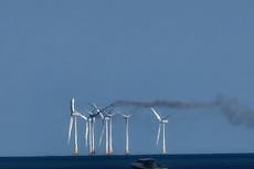 Wind farm workers evacuated after offshore turbine catches fire