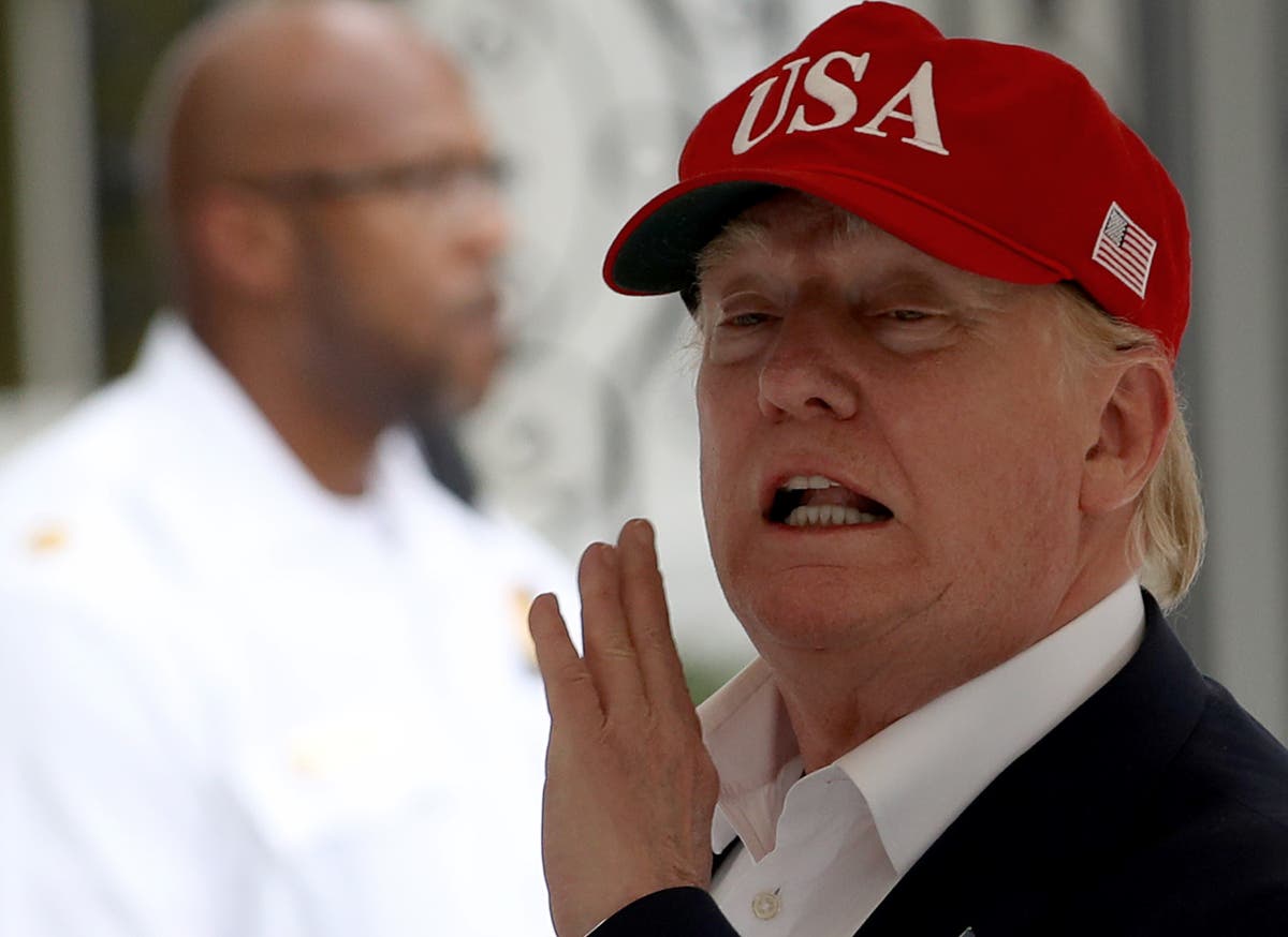 Donald Trump promises &lsquo;irrefutable&rsquo; report on baseless claims of election fraud in Georgia after indictment