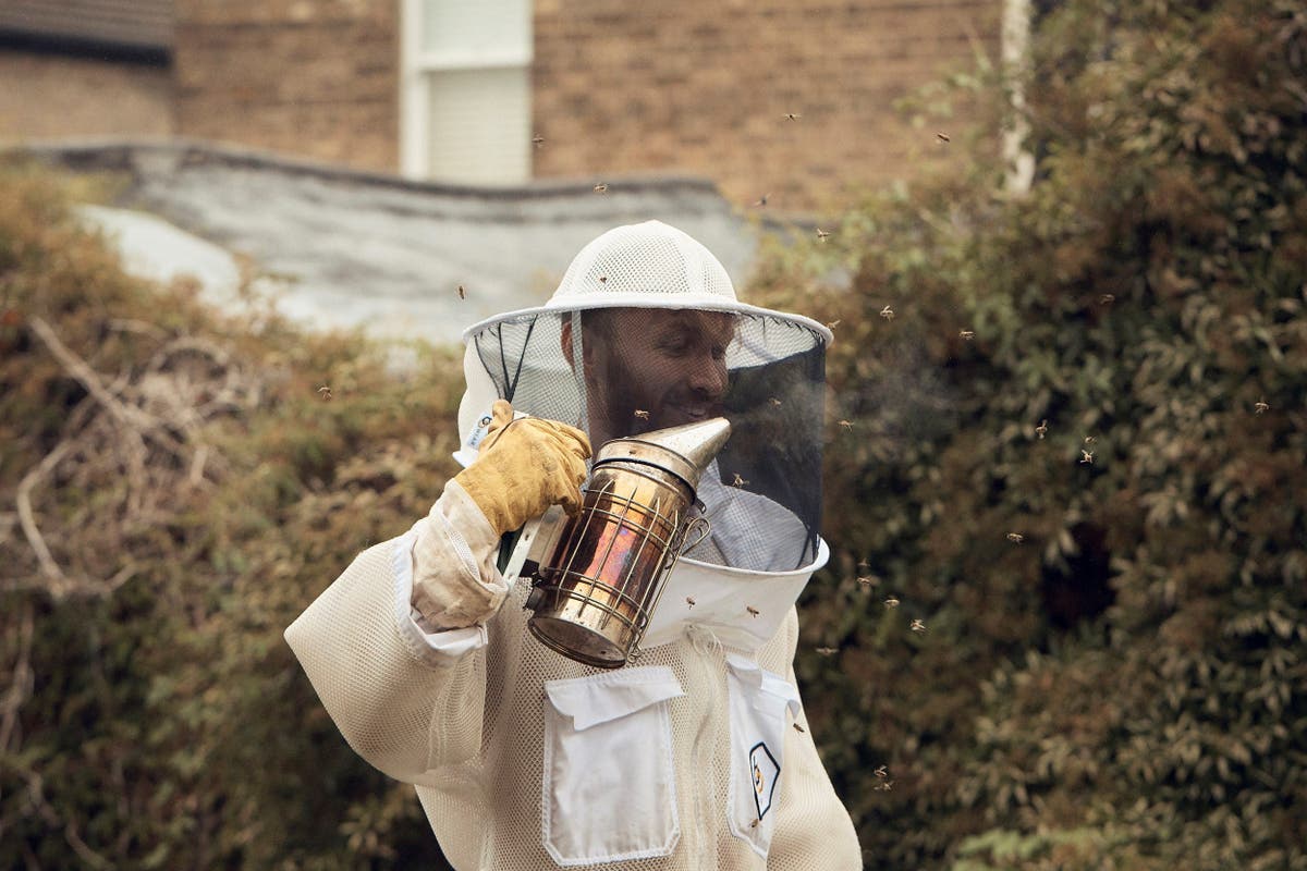 Refugees activist ‘excited’ by therapeutic beekeeping farm renovation ...