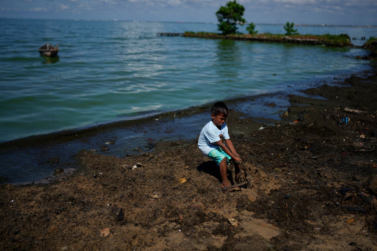 Voices: Nominate your unsung climate hero for The Independent&rsquo;s inaugural Climate 100 List