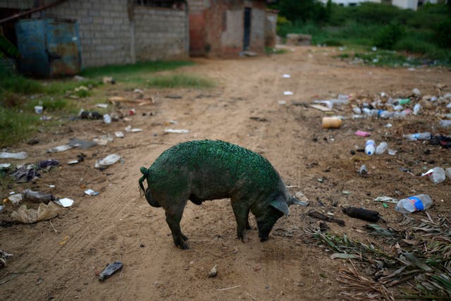 VENEZUELA-LAGO MARACAIBO CONTAMINACIÓN